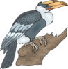 Hornbill On A Branch Clip Art